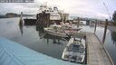 ./images/quadra/hbidock/20250625/hbidock20250625_161000M.jpg