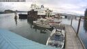 ./images/quadra/hbidock/20250625/hbidock20250625_170000M.jpg