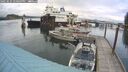 ./images/quadra/hbidock/20250625/hbidock20250625_170009M.jpg