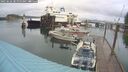 ./images/quadra/hbidock/20250626/hbidock20250626_082000M.jpg