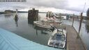 ./images/quadra/hbidock/20250626/hbidock20250626_091511M.jpg
