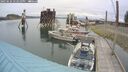 ./images/quadra/hbidock/20250626/hbidock20250626_142010M.jpg