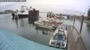 ./images/quadra/hbidock/20250626/hbidock20250626_170011M.jpg