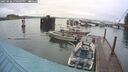./images/quadra/hbidock/20250626/hbidock20250626_190509M.jpg