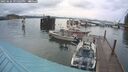 ./images/quadra/hbidock/20250626/hbidock20250626_211509M.jpg