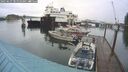 ./images/quadra/hbidock/20250627/hbidock20250627_081010M.jpg