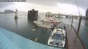 ./images/quadra/hbidock/20250627/hbidock20250627_091500M.jpg