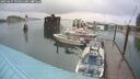 ./images/quadra/hbidock/20250627/hbidock20250627_093011M.jpg