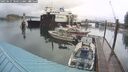 ./images/quadra/hbidock/20250627/hbidock20250627_100012M.jpg