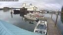 ./images/quadra/hbidock/20250628/hbidock20250628_080510M.jpg