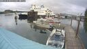 ./images/quadra/hbidock/20250628/hbidock20250628_081511M.jpg