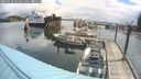 ./images/quadra/hbidock/20250628/hbidock20250628_101011M.jpg