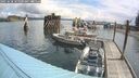 ./images/quadra/hbidock/20250628/hbidock20250628_105000M.jpg