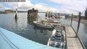 ./images/quadra/hbidock/20250628/hbidock20250628_110000M.jpg