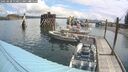 ./images/quadra/hbidock/20250628/hbidock20250628_110011M.jpg