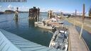 ./images/quadra/hbidock/20250628/hbidock20250628_161511M.jpg