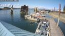 ./images/quadra/hbidock/20250628/hbidock20250628_163509M.jpg
