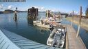 ./images/quadra/hbidock/20250628/hbidock20250628_165000M.jpg