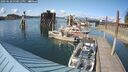 ./images/quadra/hbidock/20250628/hbidock20250628_170012M.jpg