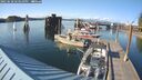 ./images/quadra/hbidock/20250628/hbidock20250628_183010M.jpg