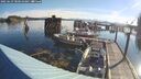 ./images/quadra/hbidock/20250629/hbidock20250629_080510M.jpg