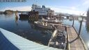 ./images/quadra/hbidock/20250629/hbidock20250629_081000M.jpg