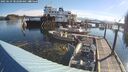 ./images/quadra/hbidock/20250629/hbidock20250629_082000M.jpg