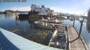 ./images/quadra/hbidock/20250629/hbidock20250629_082010M.jpg