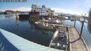 ./images/quadra/hbidock/20250629/hbidock20250629_083000M.jpg