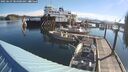 ./images/quadra/hbidock/20250629/hbidock20250629_084000M.jpg