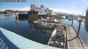 ./images/quadra/hbidock/20250629/hbidock20250629_084010M.jpg