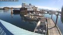 ./images/quadra/hbidock/20250629/hbidock20250629_084510M.jpg