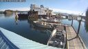 ./images/quadra/hbidock/20250629/hbidock20250629_085010M.jpg