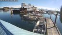 ./images/quadra/hbidock/20250629/hbidock20250629_085510M.jpg