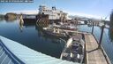 ./images/quadra/hbidock/20250629/hbidock20250629_090500M.jpg