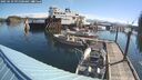 ./images/quadra/hbidock/20250629/hbidock20250629_091500M.jpg