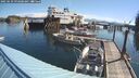 ./images/quadra/hbidock/20250629/hbidock20250629_092008M.jpg