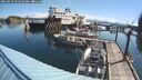 ./images/quadra/hbidock/20250629/hbidock20250629_092509M.jpg