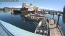 ./images/quadra/hbidock/20250629/hbidock20250629_093000M.jpg