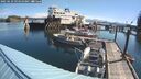 ./images/quadra/hbidock/20250629/hbidock20250629_094010M.jpg
