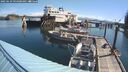 ./images/quadra/hbidock/20250629/hbidock20250629_094500M.jpg