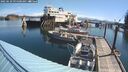 ./images/quadra/hbidock/20250629/hbidock20250629_095000M.jpg