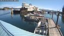 ./images/quadra/hbidock/20250629/hbidock20250629_095509M.jpg