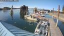 ./images/quadra/hbidock/20250629/hbidock20250629_172000M.jpg