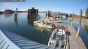 ./images/quadra/hbidock/20250629/hbidock20250629_175000M.jpg