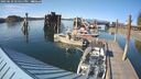 ./images/quadra/hbidock/20250629/hbidock20250629_175011M.jpg