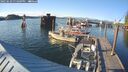 ./images/quadra/hbidock/20250629/hbidock20250629_194009M.jpg