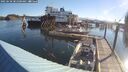 ./images/quadra/hbidock/20250630/hbidock20250630_081000M.jpg