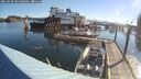 ./images/quadra/hbidock/20250630/hbidock20250630_081500M.jpg