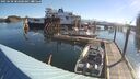 ./images/quadra/hbidock/20250630/hbidock20250630_082000M.jpg
